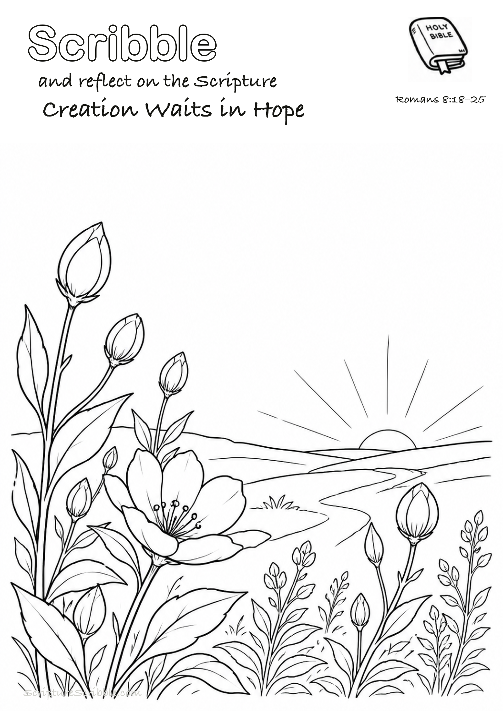 Black-and-white Romans 8:18–25 devotional drawing page titled Creation Waits in Hope, with a branded header, Bible reference and unfinished Bible scene.